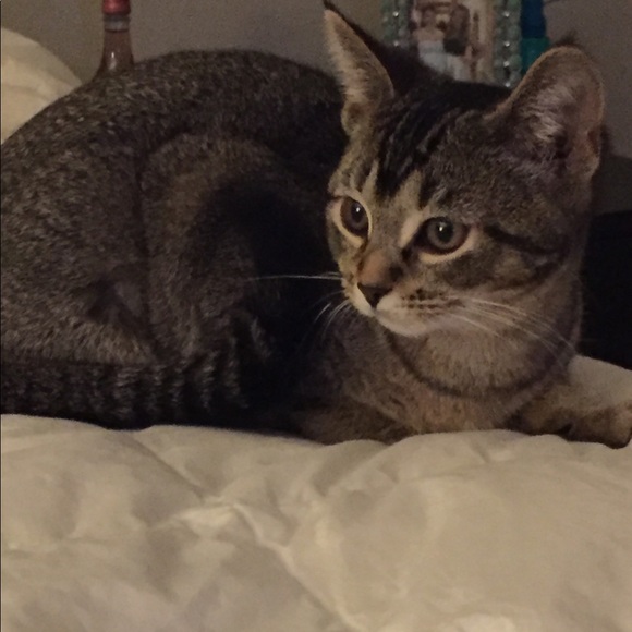 Meet your Posher, Patty - Picture 2 of 12